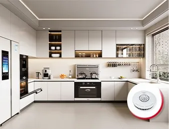 Coal Fire Power Plant